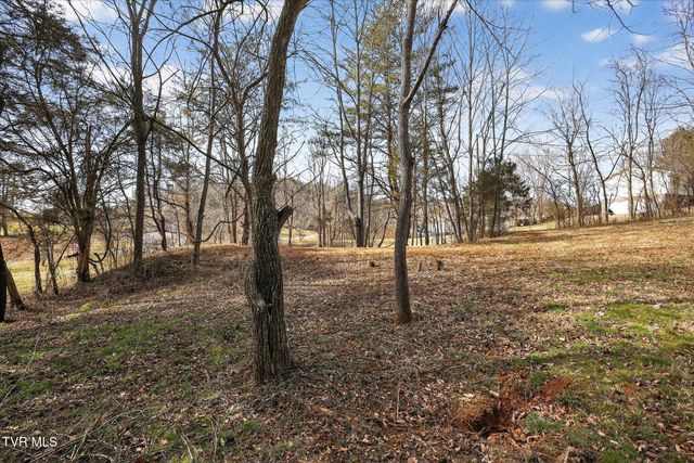 353 Valley Drive, Church Hill, TN 37642