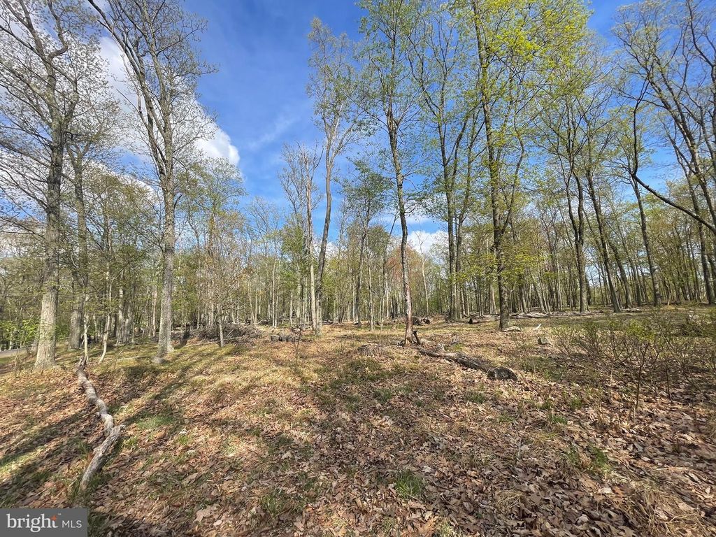 306 MOUNTAIN SNOW CIRCLE, Zion Grove, PA 17985