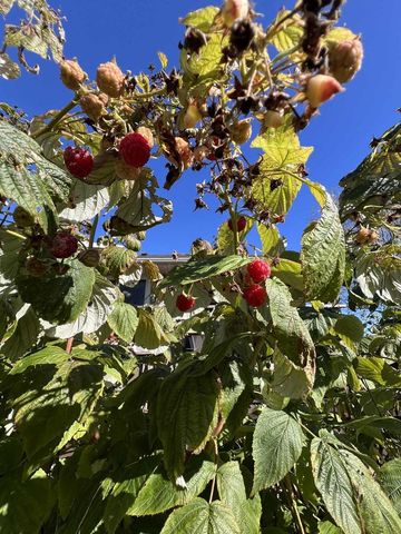 801 Derek Lane, Viroqua, WI 54665