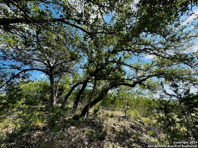 2460 George Pass, Canyon Lake, TX 78133