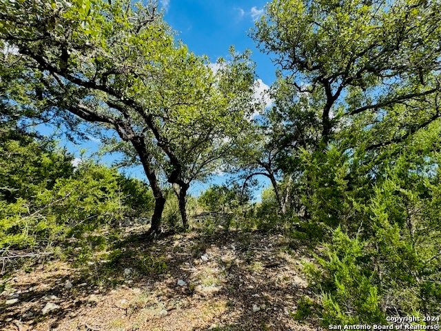 2460 George Pass, Canyon Lake, TX 78133