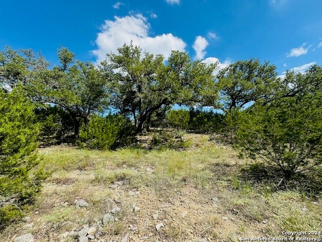2460 George Pass, Canyon Lake, TX 78133