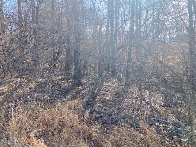 Lot 9 Watch Tower DR, Moneta, VA 24121