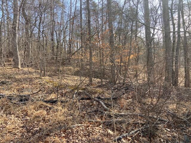 Lot 9 Watch Tower DR, Moneta, VA 24121