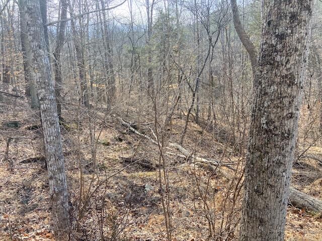 Lot 9 Watch Tower DR, Moneta, VA 24121