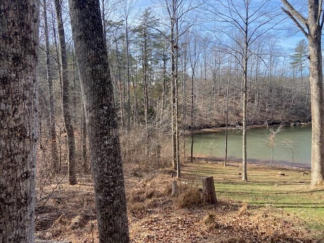 Lot 9 Watch Tower DR, Moneta, VA 24121