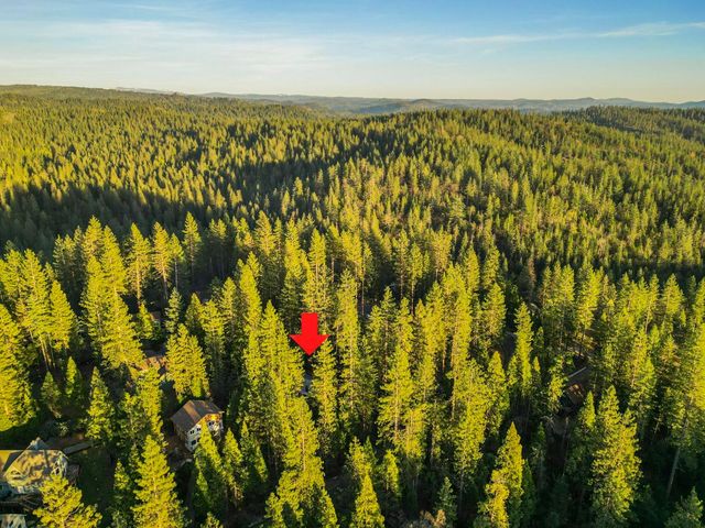 1883 Kit Carson Circle, Arnold, CA 95223