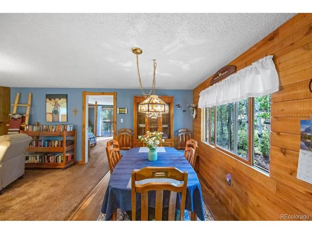 567 Forest Dr, Bailey, CO 80421