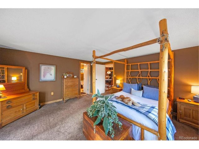 567 Forest Dr, Bailey, CO 80421