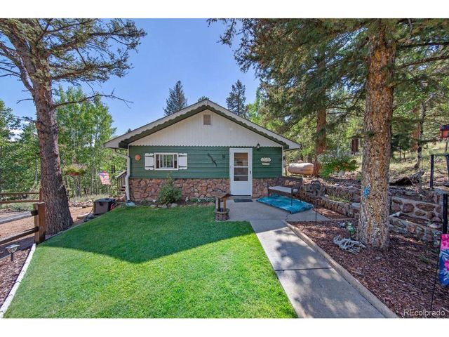 567 Forest Dr, Bailey, CO 80421