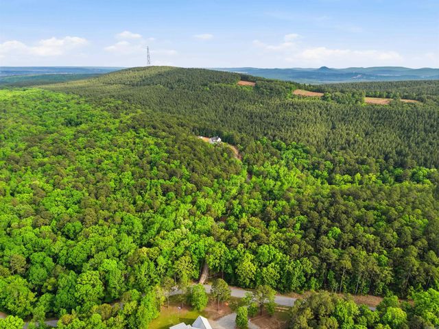 20301 Dwight Little Road, Roland, AR 72135