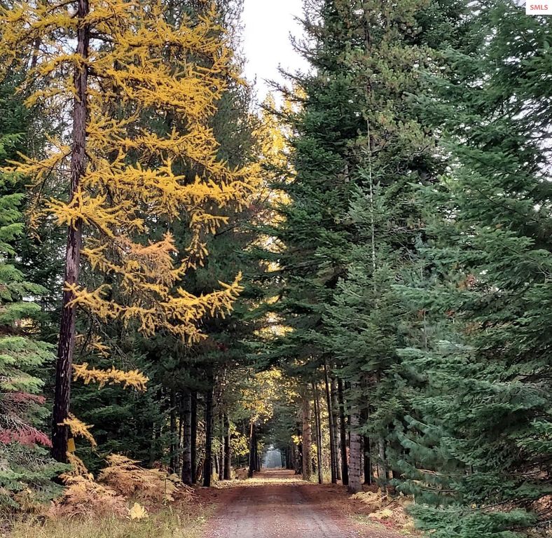 249 Indigo Sky Rd, Sandpoint, ID 83864 photo 65