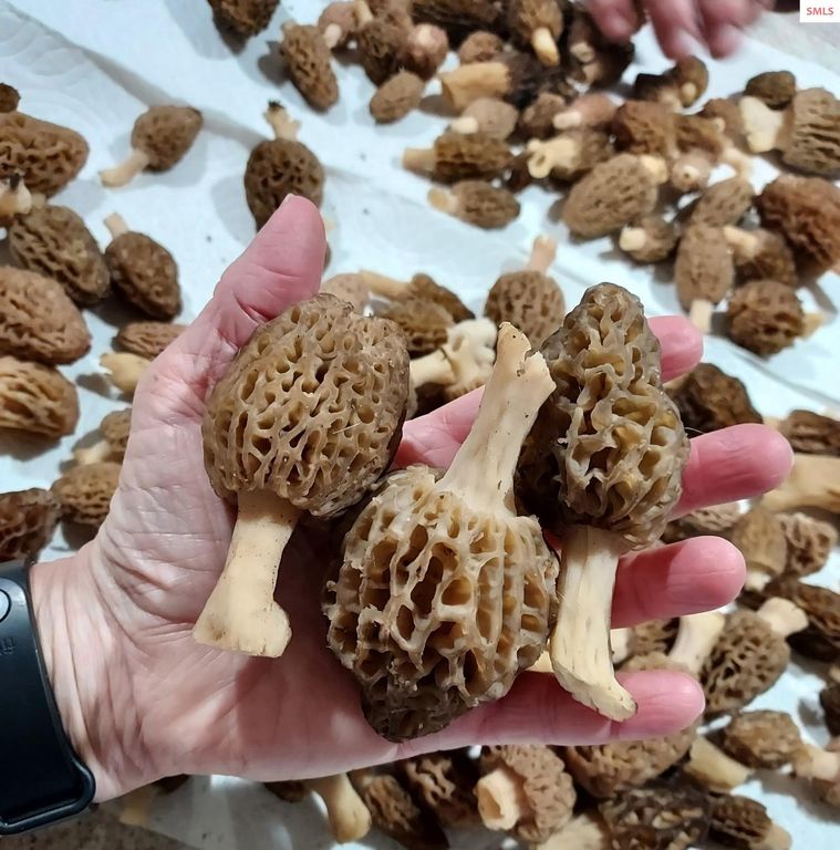 249 Indigo Sky Rd, Sandpoint, ID 83864 photo 78