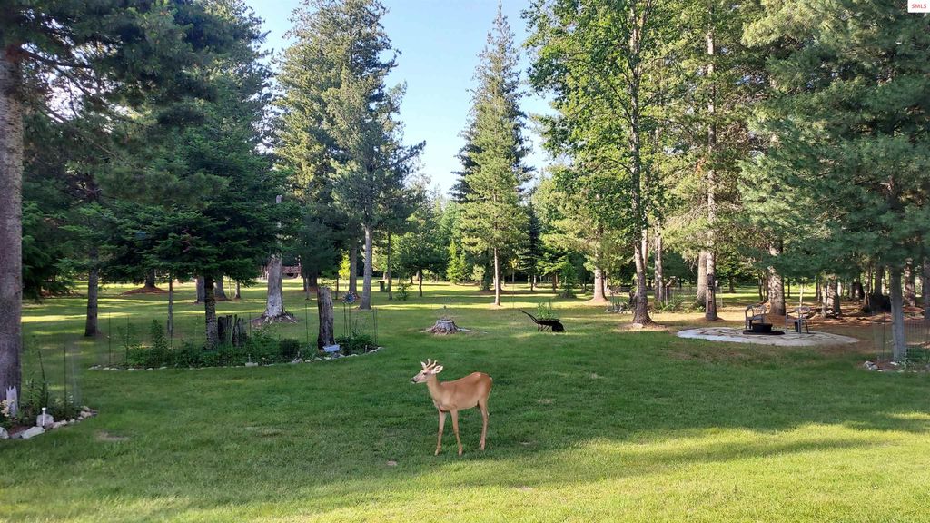 249 Indigo Sky Rd, Sandpoint, ID 83864 photo 79