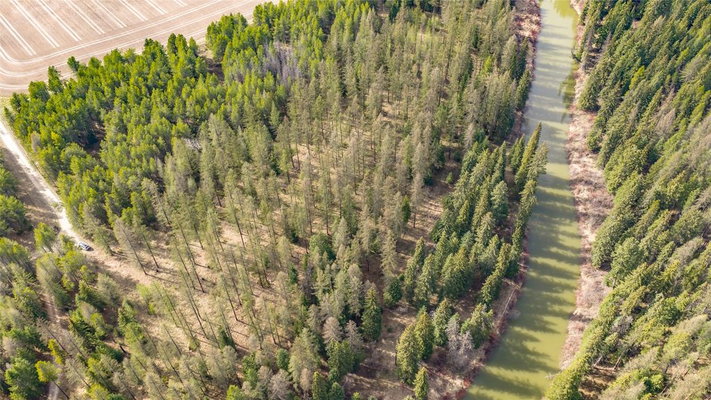 NHN Camp Trail, Whitefish, MT 59937 photo 17