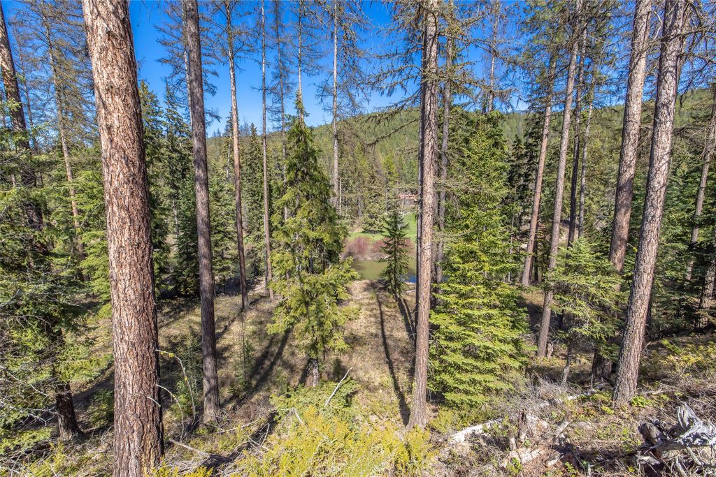 NHN Camp Trail, Whitefish, MT 59937 photo 18
