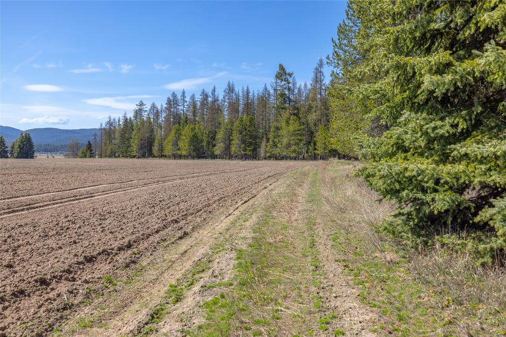 NHN Camp Trail, Whitefish, MT 59937 photo 19