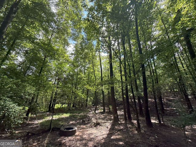 9 Red Rose Court, Nicholson, GA 30565