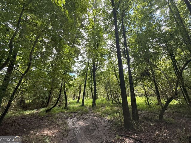 9 Red Rose Court, Nicholson, GA 30565