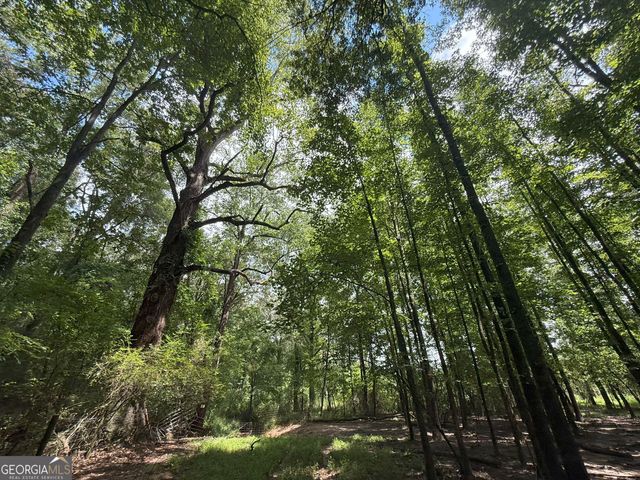 9 Red Rose Court, Nicholson, GA 30565