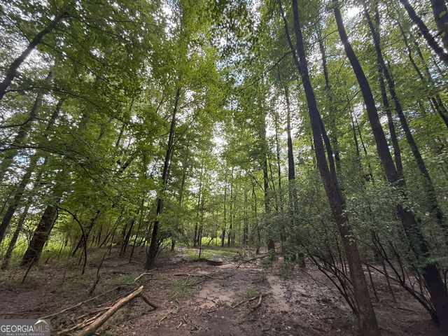 9 Red Rose Court, Nicholson, GA 30565