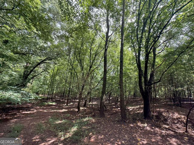 9 Red Rose Court, Nicholson, GA 30565