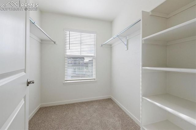 11759 Foraker Lane, Colorado Springs, CO 80925