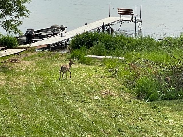 66441 Island Lake Lane, Northome, MN 56661