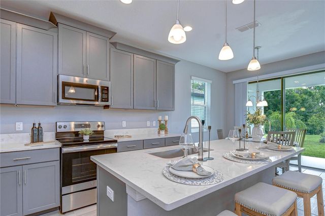 1621 LEAF FLOWER LANE, Lutz, FL 33558