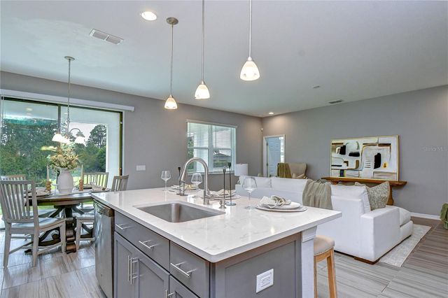 1621 LEAF FLOWER LANE, Lutz, FL 33558