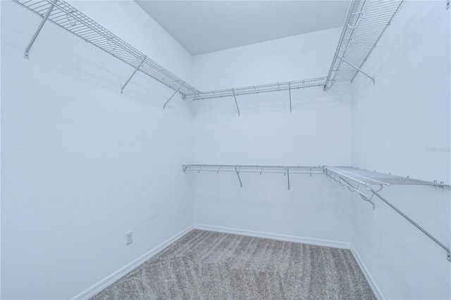 1621 LEAF FLOWER LANE, Lutz, FL 33558