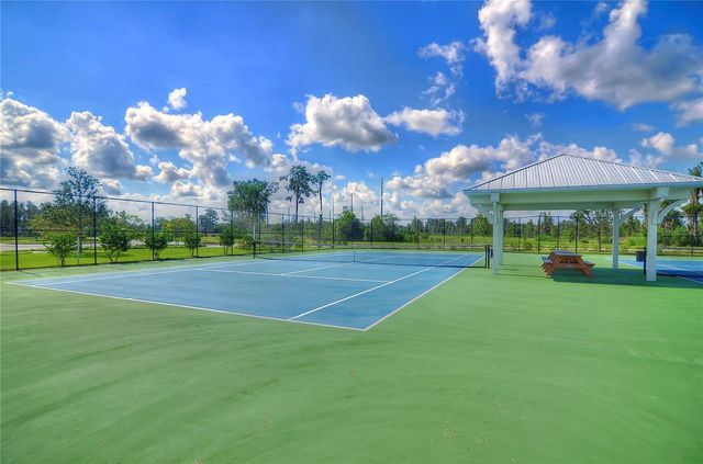 1621 LEAF FLOWER LANE, Lutz, FL 33558