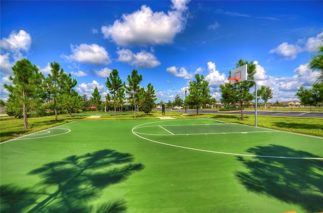 1621 LEAF FLOWER LANE, Lutz, FL 33558