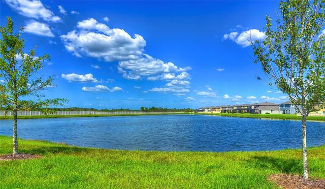 1621 LEAF FLOWER LANE, Lutz, FL 33558