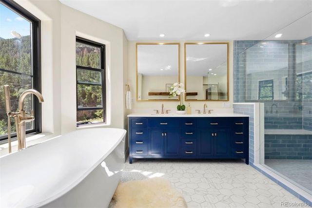 205 Loop Drive, Georgetown, CO 80444