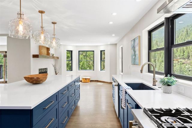 205 Loop Drive, Georgetown, CO 80444