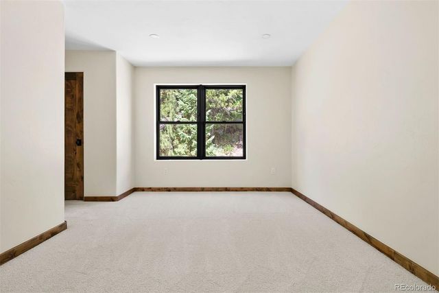 205 Loop Drive, Georgetown, CO 80444