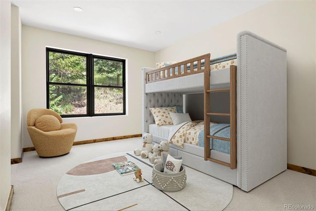 205 Loop Drive, Georgetown, CO 80444