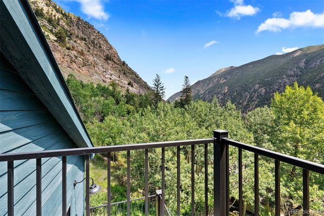 205 Loop Drive, Georgetown, CO 80444