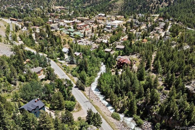 205 Loop Drive, Georgetown, CO 80444