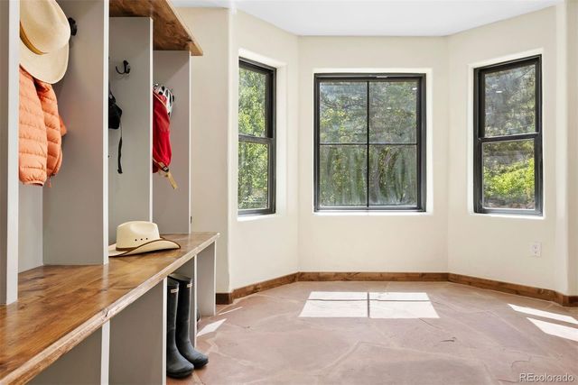 205 Loop Drive, Georgetown, CO 80444