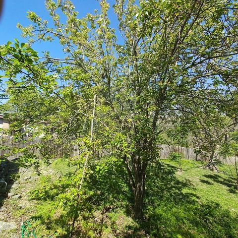 166 N Drew Lane, Kerrville, TX 78028