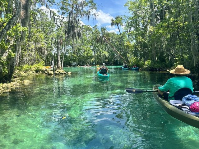 1115 SE KINGSBAY DRIVE, Crystal River, FL 34429