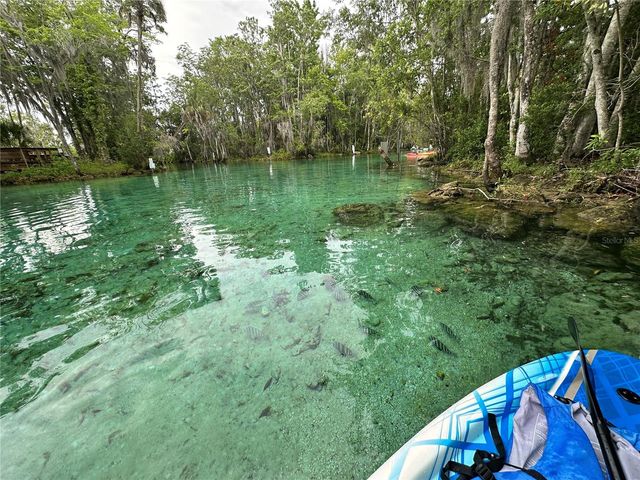 1115 SE KINGSBAY DRIVE, Crystal River, FL 34429