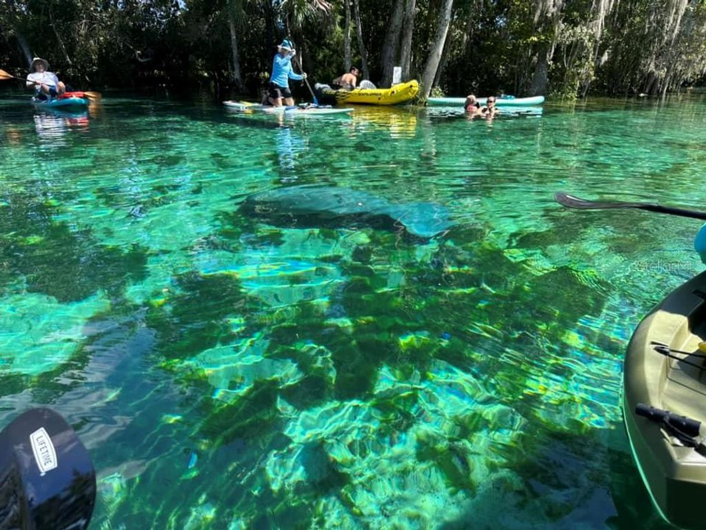 Image 36 of property listing at 1115 SE KINGSBAY DRIVE, Crystal River, FL 34429