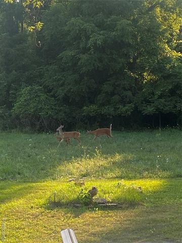 26730 Will Carleton Road Road, Flat Rock, MI 48134