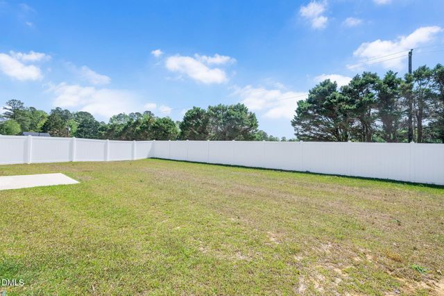 89 Molly Mac Lane, Angier, NC 27501