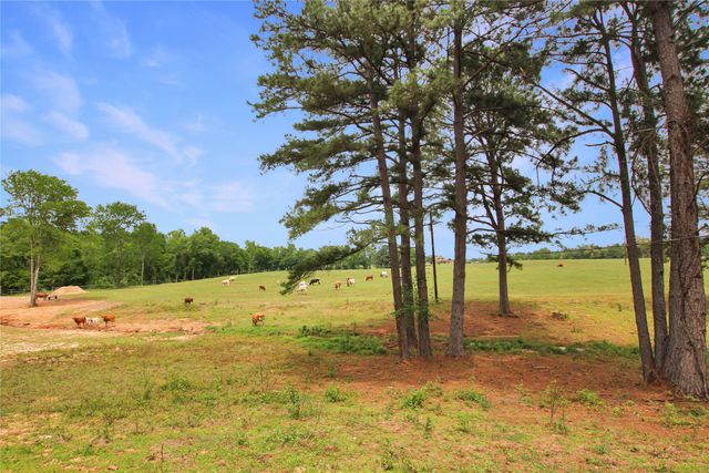 19413 US Highway 79 E, Jacksonville, TX 75766