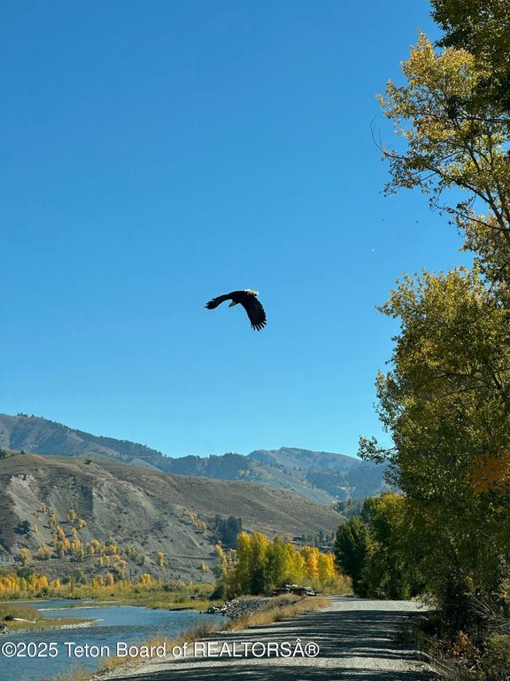 1325 MUNGER MOUNTAIN Road, Jackson, WY 83001 photo 46