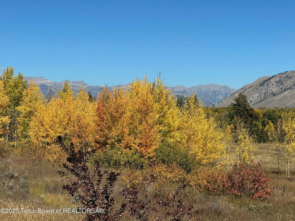 1325 MUNGER MOUNTAIN Road, Jackson, WY 83001 photo 50